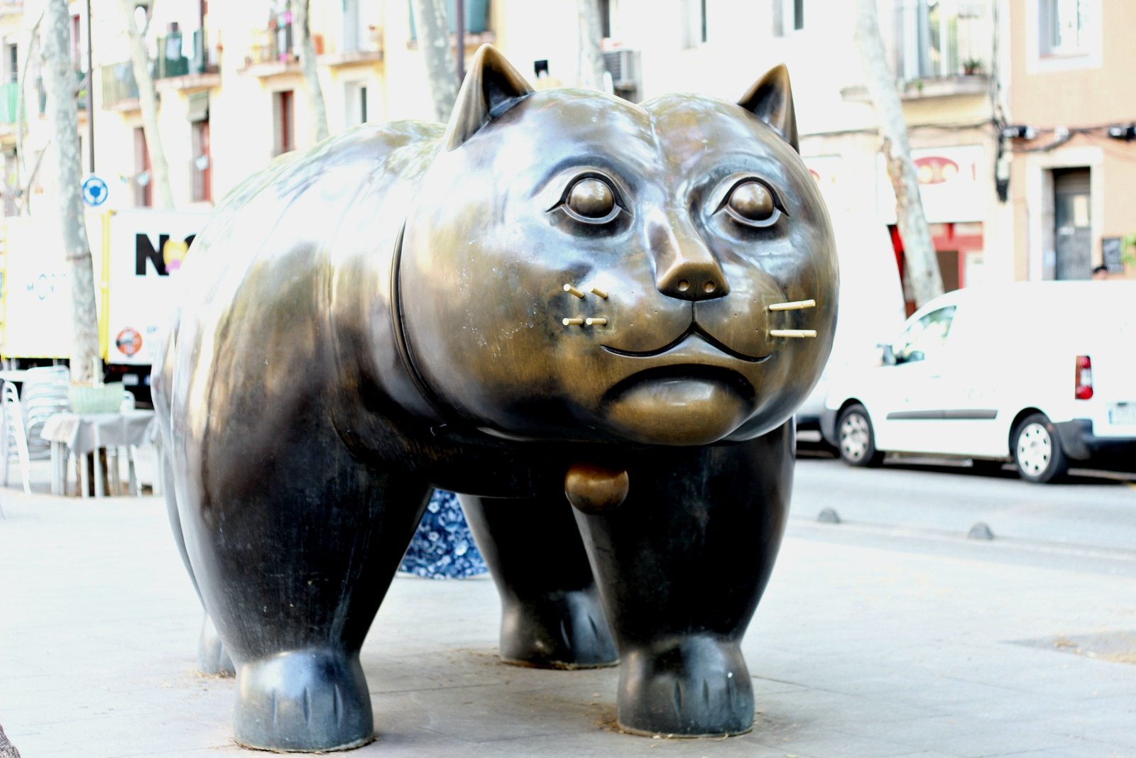 How to make a wish near the cat statue in Barcelona