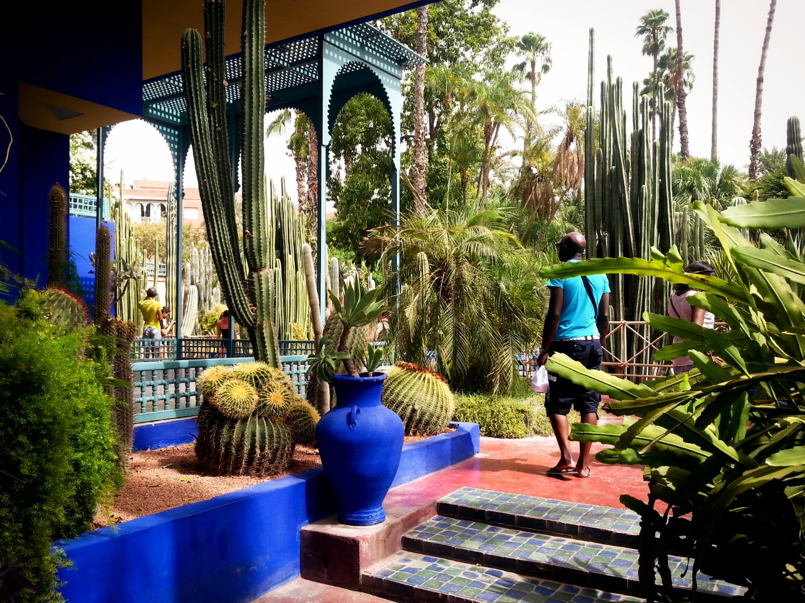 How to visit magnificent Majorelle botanic garden in Marrakesh