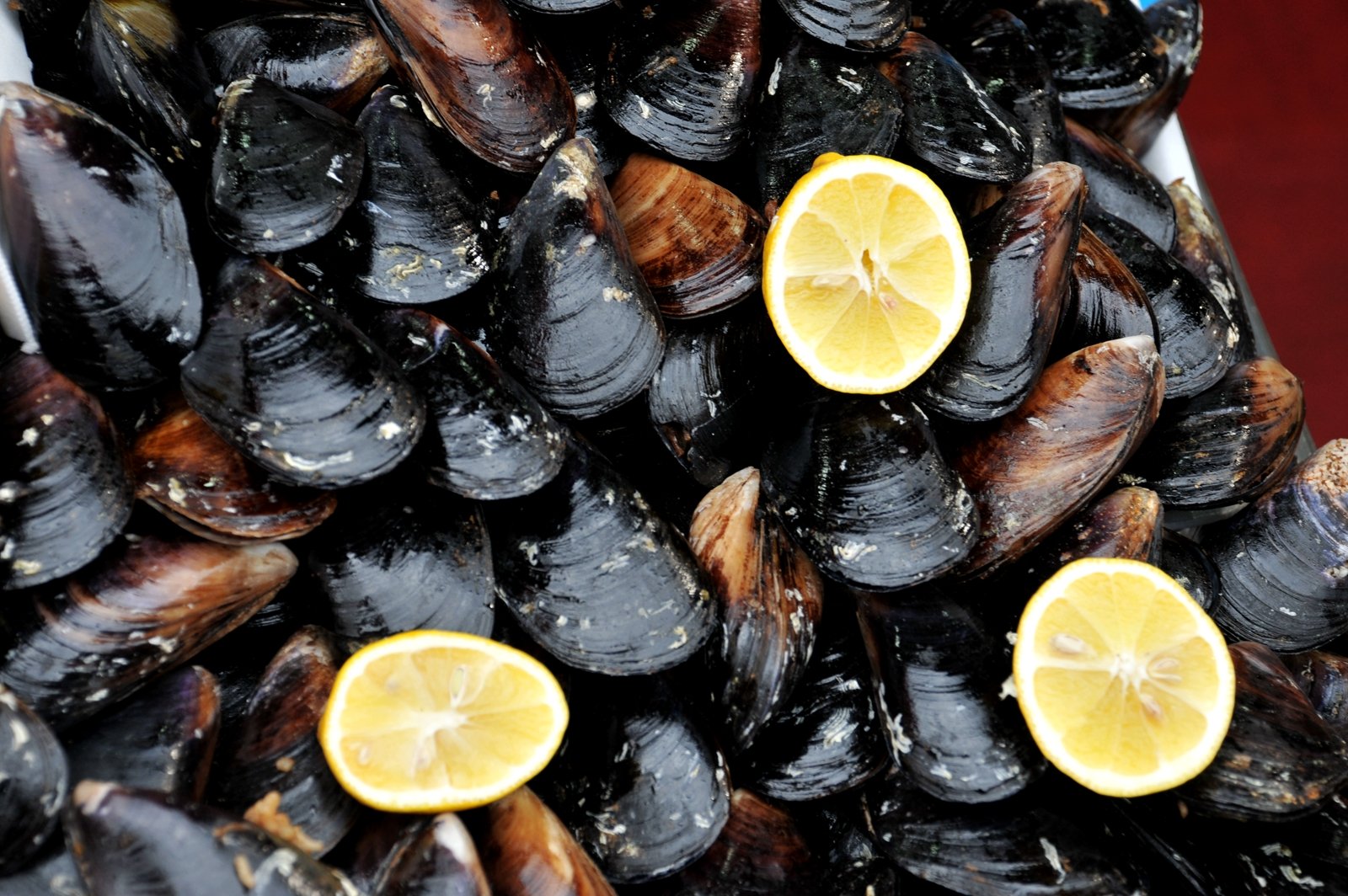 How to try stuffed mussels in Antalya