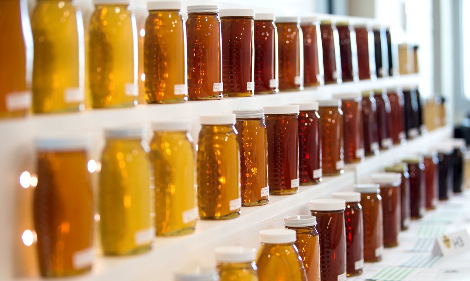 How to try a rejuvenating honey liqueur on Kos