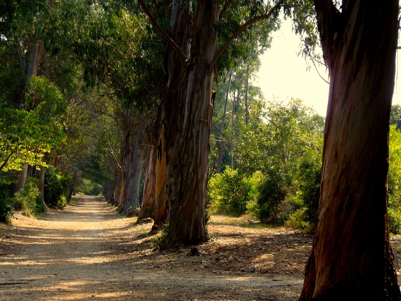 How to walk through the alley of love in Marmaris