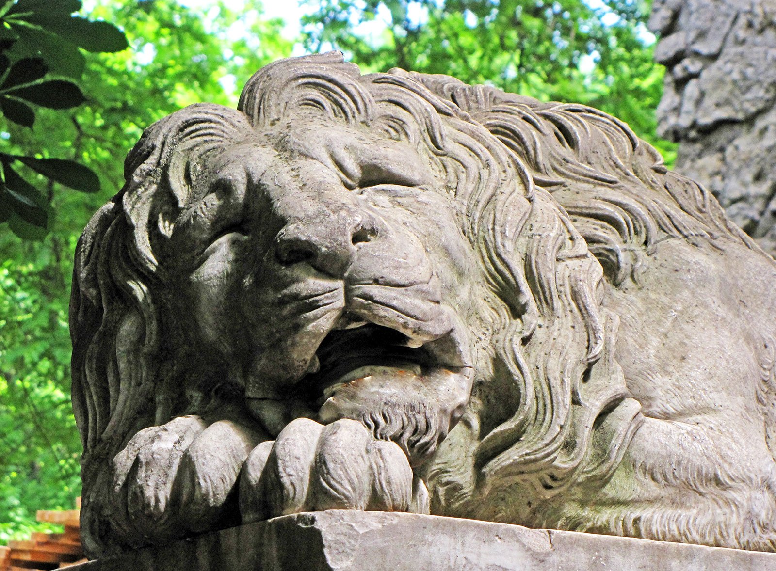 How to find Lviv lions in Lviv