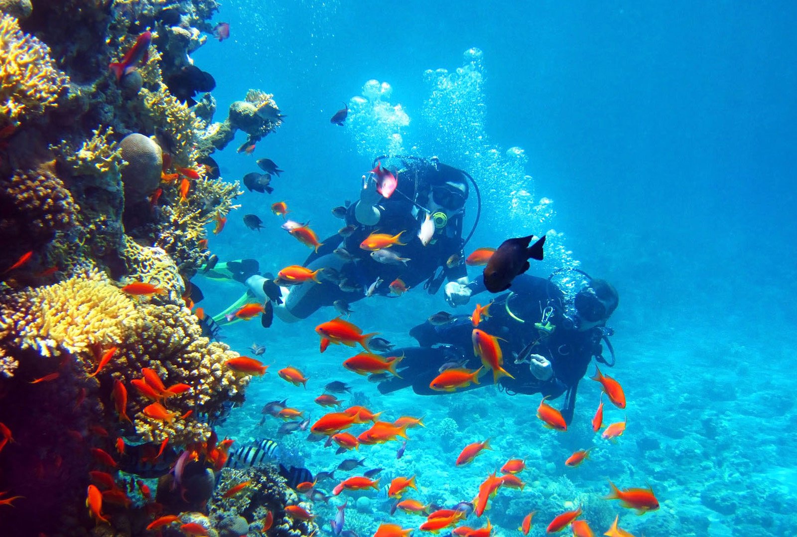 How to dive with fishes in Skinaria on Crete