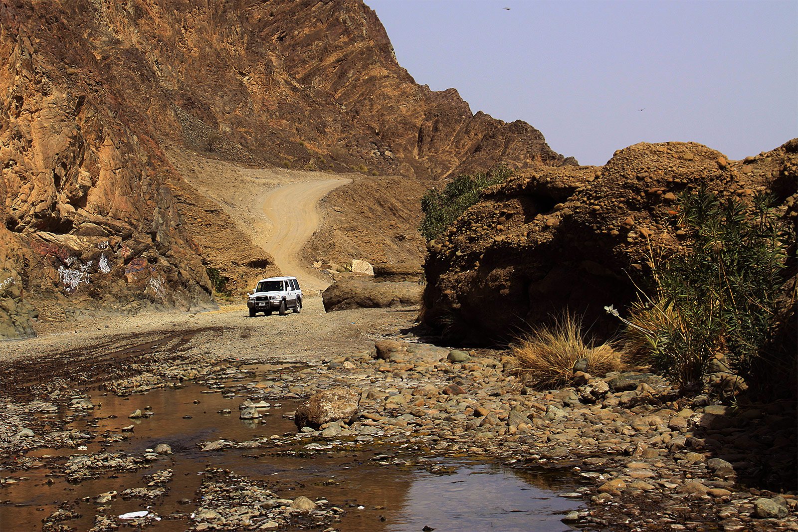 How to try wadi bashing in Dubai