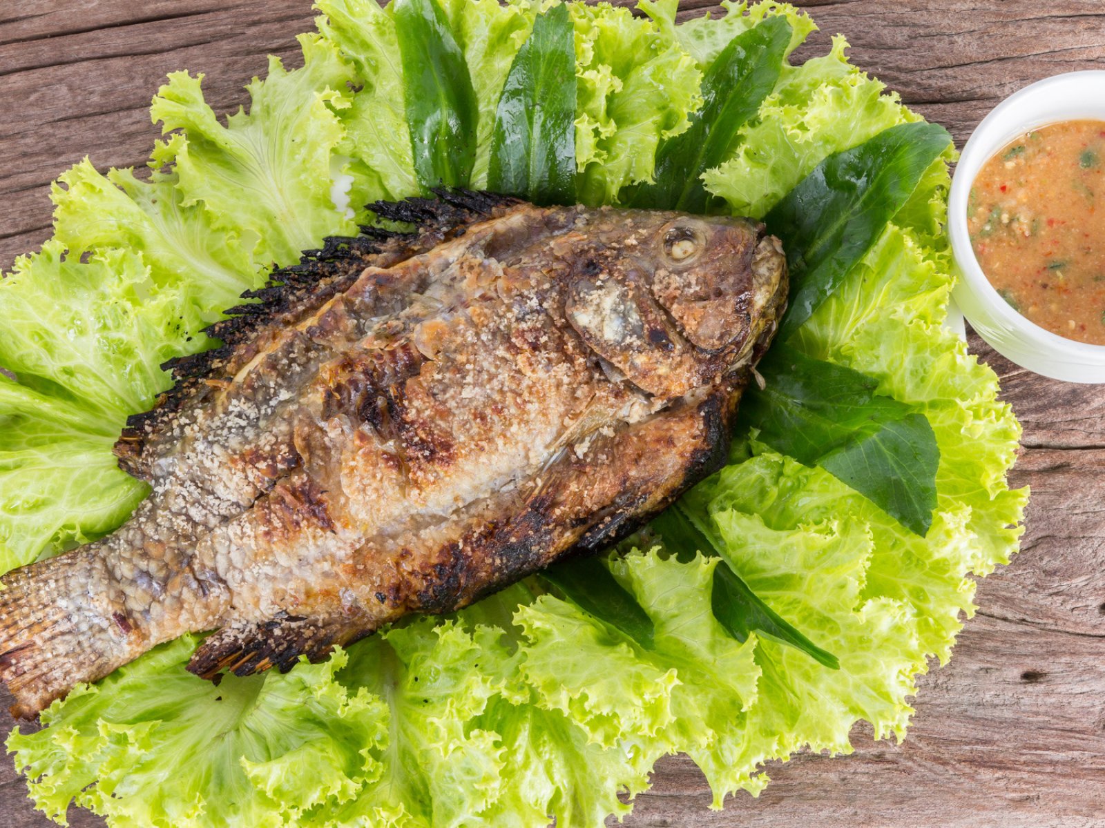 How to try Plah Plow fish in Phuket