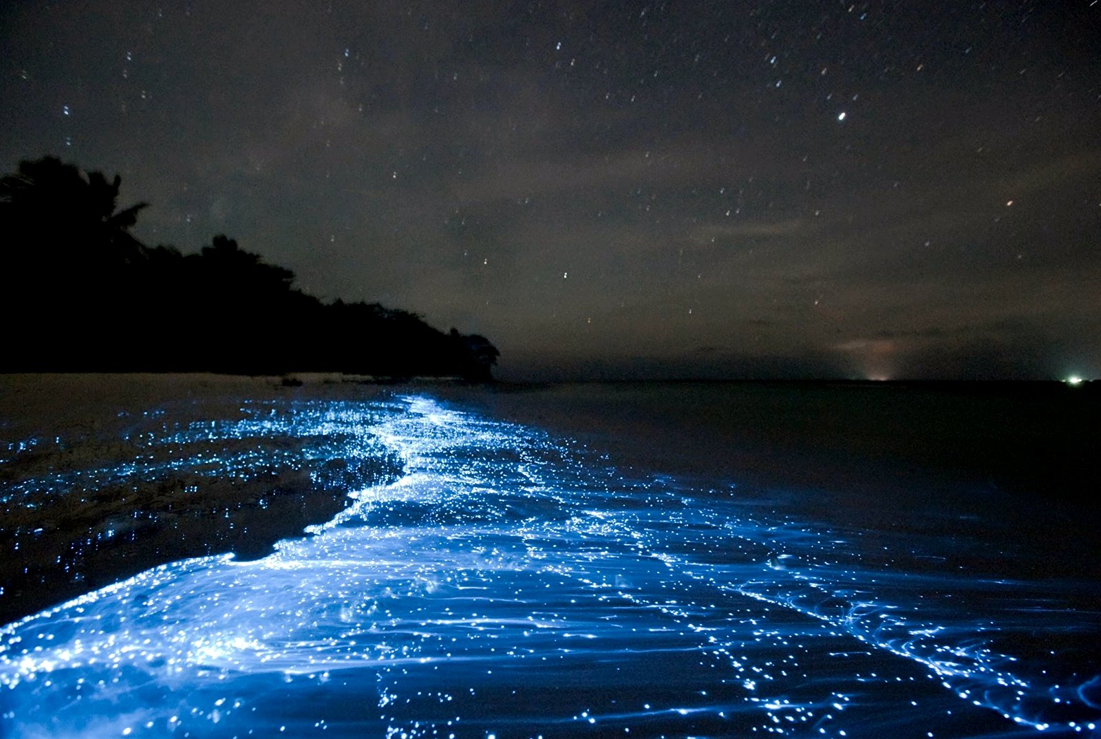 How to see luminant plankton on a desert beach in Sihanoukville