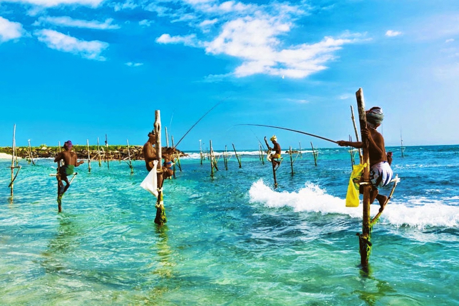 How to go stilt fishing in Galle