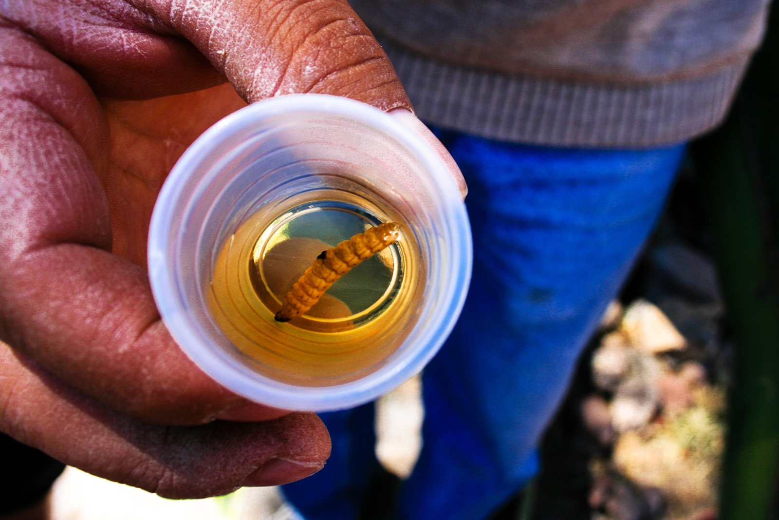 How to taste mezcal in Mexico City