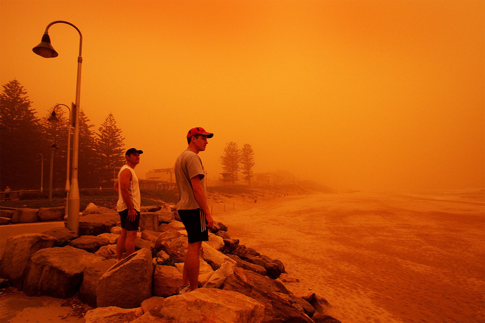 How to see a sandstorm in Sydney