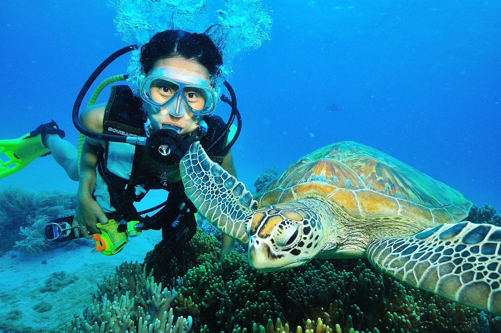 How to diving the Great Barrier Reef in Cairns