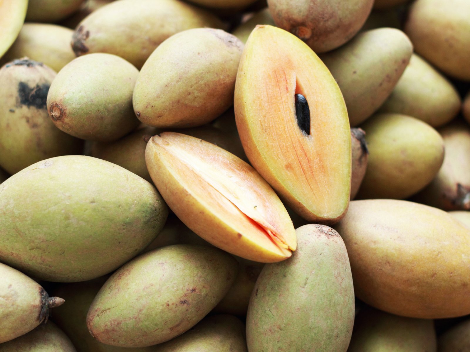 How to try sapodilla in Phuket