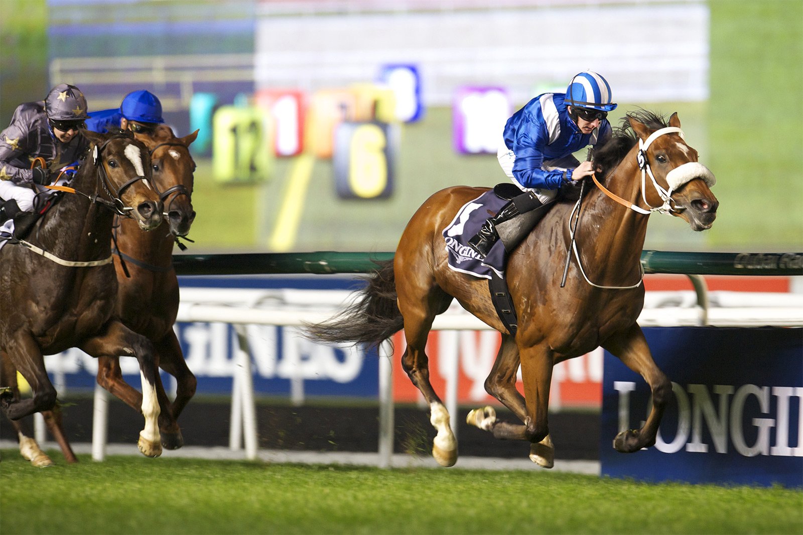 How to enjoy the Dubai World Cup in Dubai