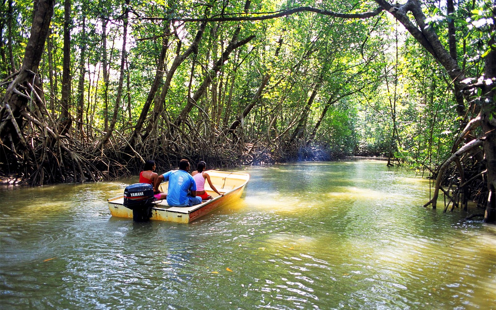 How to take a boat ride alongh the mangroves in Abu Dhabi