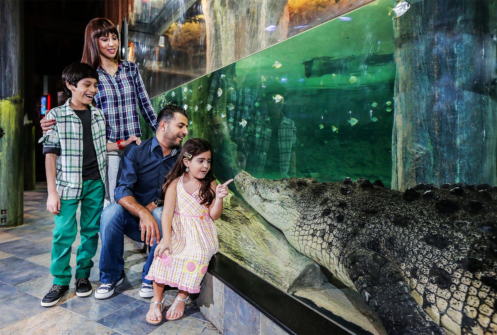 How to see the King Croc in Dubai