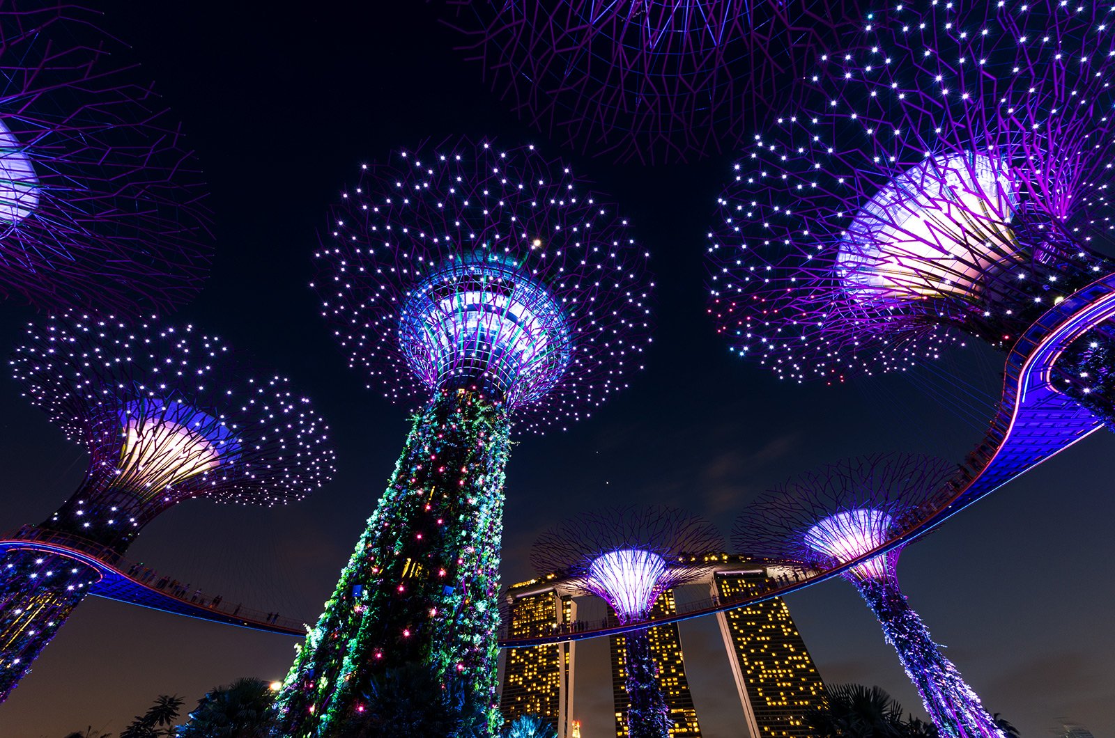 How to catch the light and music show in Gardens by the Bay in Singapore