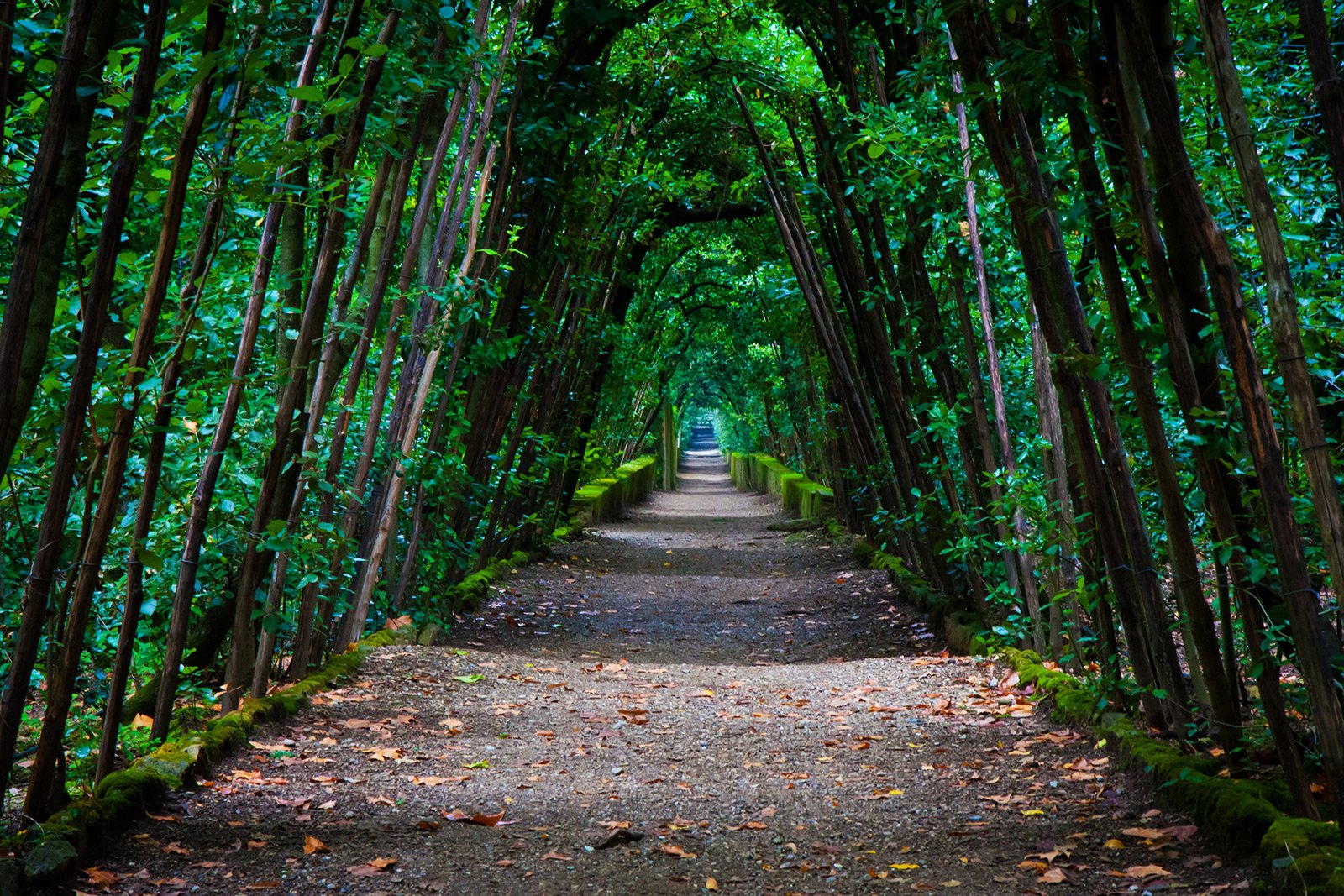 How to take a walk through the Boboli Gardens in Florence