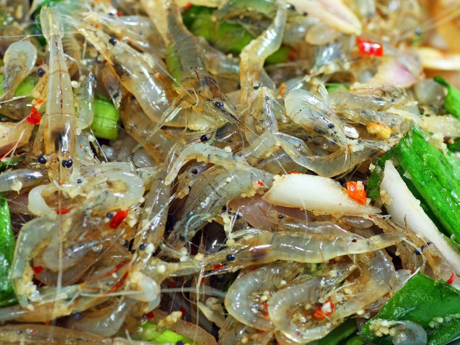 How to try eating dancing shrimp in Pattaya