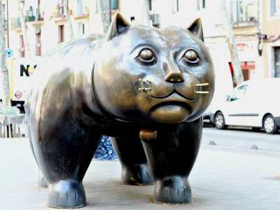 Make a wish near the cat statue in Barcelona