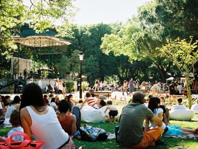 Have a port beverage at Estrela garden in Lisbon