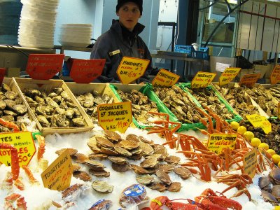 Buy fresh oysters in the Old Port in Marseille