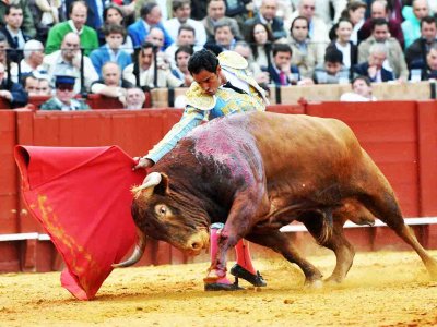 See corrida in Seville