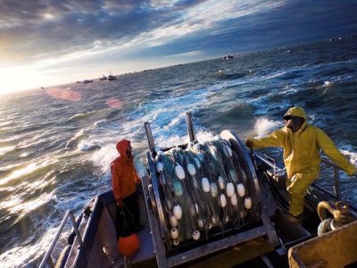 Go for the Deadliest Catch in Juneau