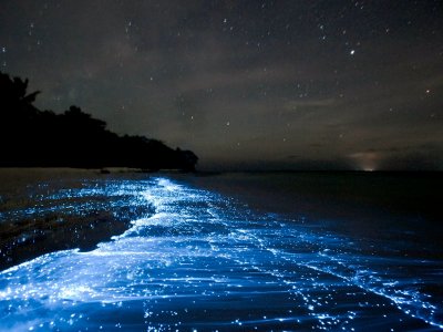 See luminant plankton on a desert beach in Sihanoukville