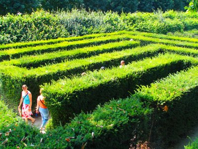 Go through the Shonbrunn palace's maze in Vienna