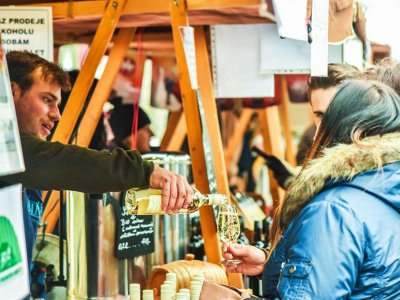 Celebrate St. Martin's Day in Ljubljana