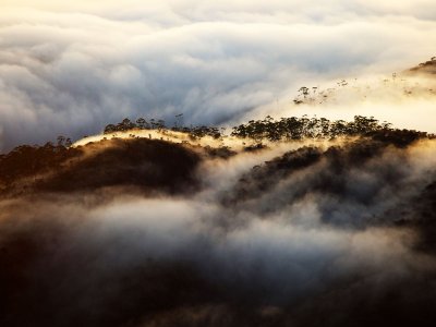 See fog over Adam Peak's in Nuwara Eliya