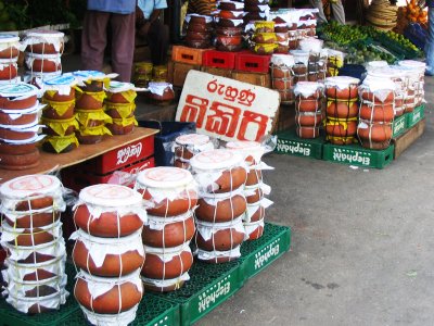 Try buffalo curd in Colombo