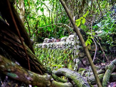 Visit "the village of the dead" in Bali