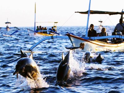 Ride a boat amid dolphins in Bali