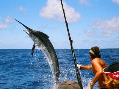 Go marlin fishing in Port Louis