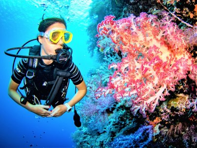 Go coral reef diving in Singapore