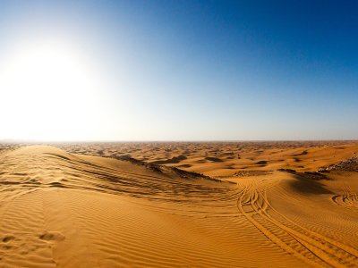 Visit the Desert Conservation Reserve in Dubai