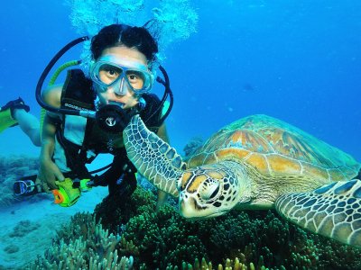 Diving the Great Barrier Reef in Cairns