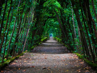 Take a walk through the Boboli Gardens in Florence