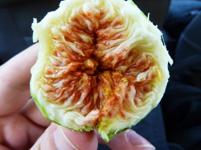 Eat figs on Crete