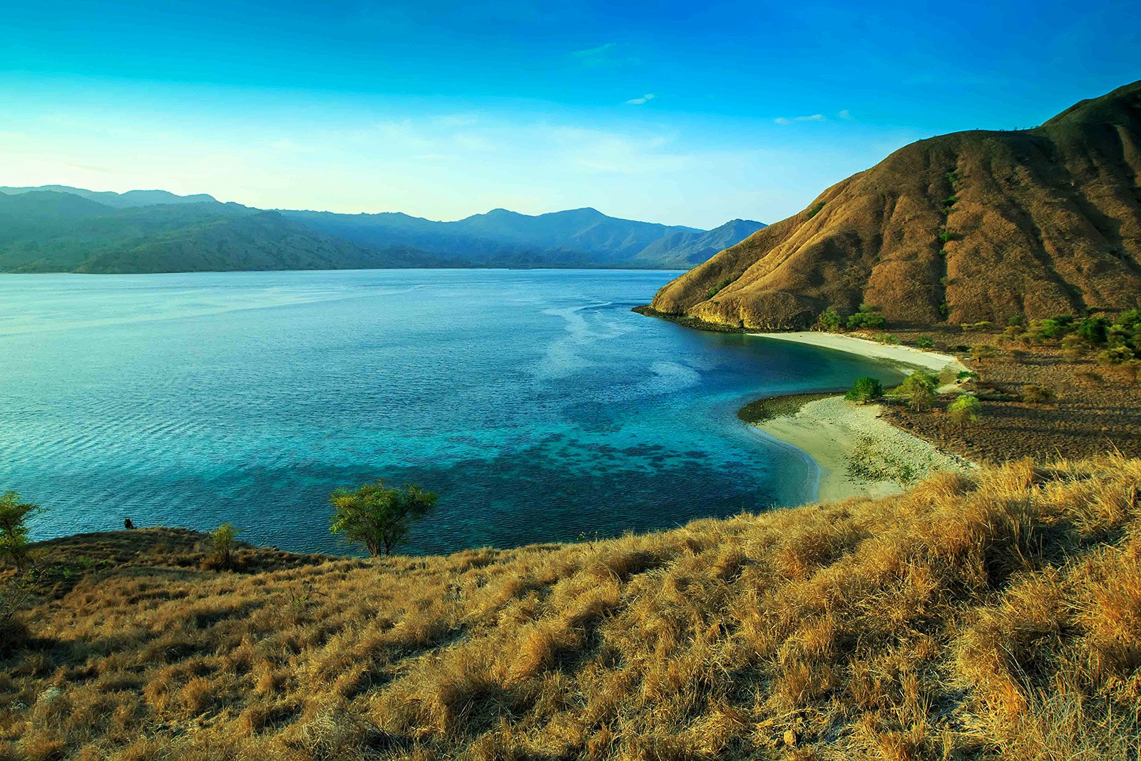 Komodo National Park, Komodo