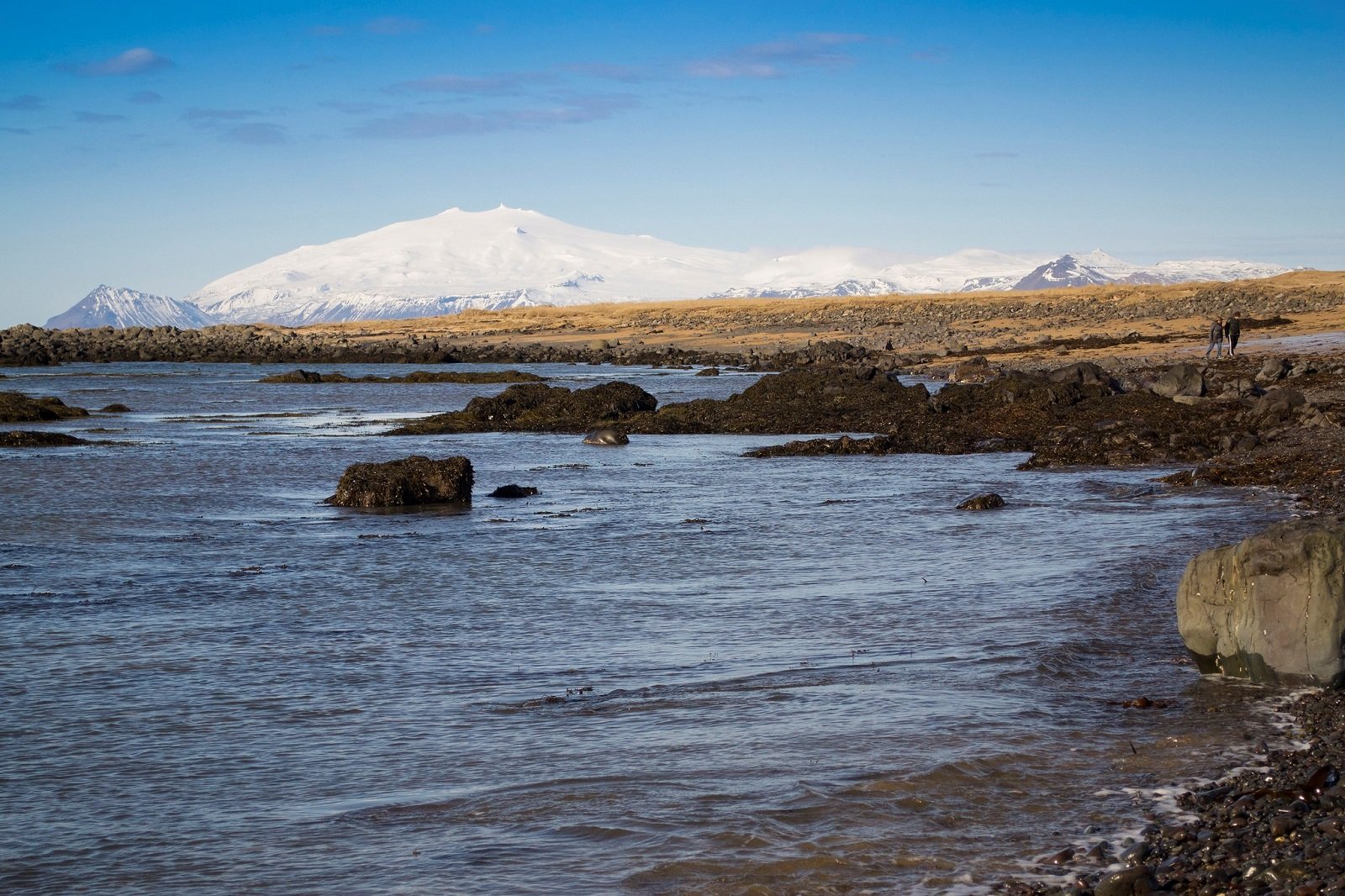 Ytri-Tunga Beach, Reykjavik