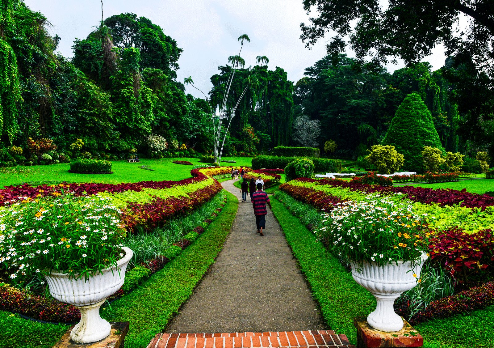 Royal Botanic Gardens, Kandy