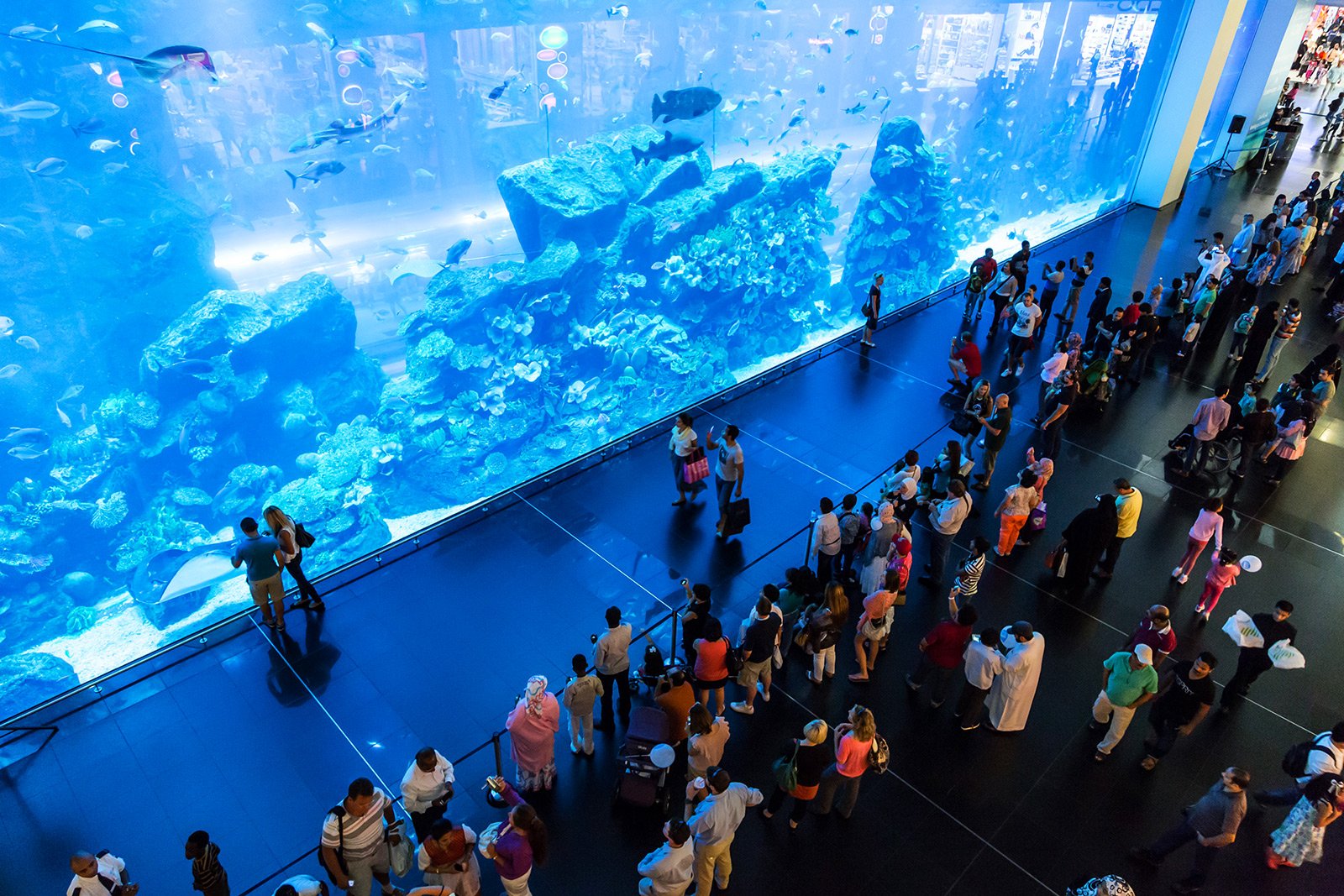 Dubai Aquarium Underwater Zoo, Dubai