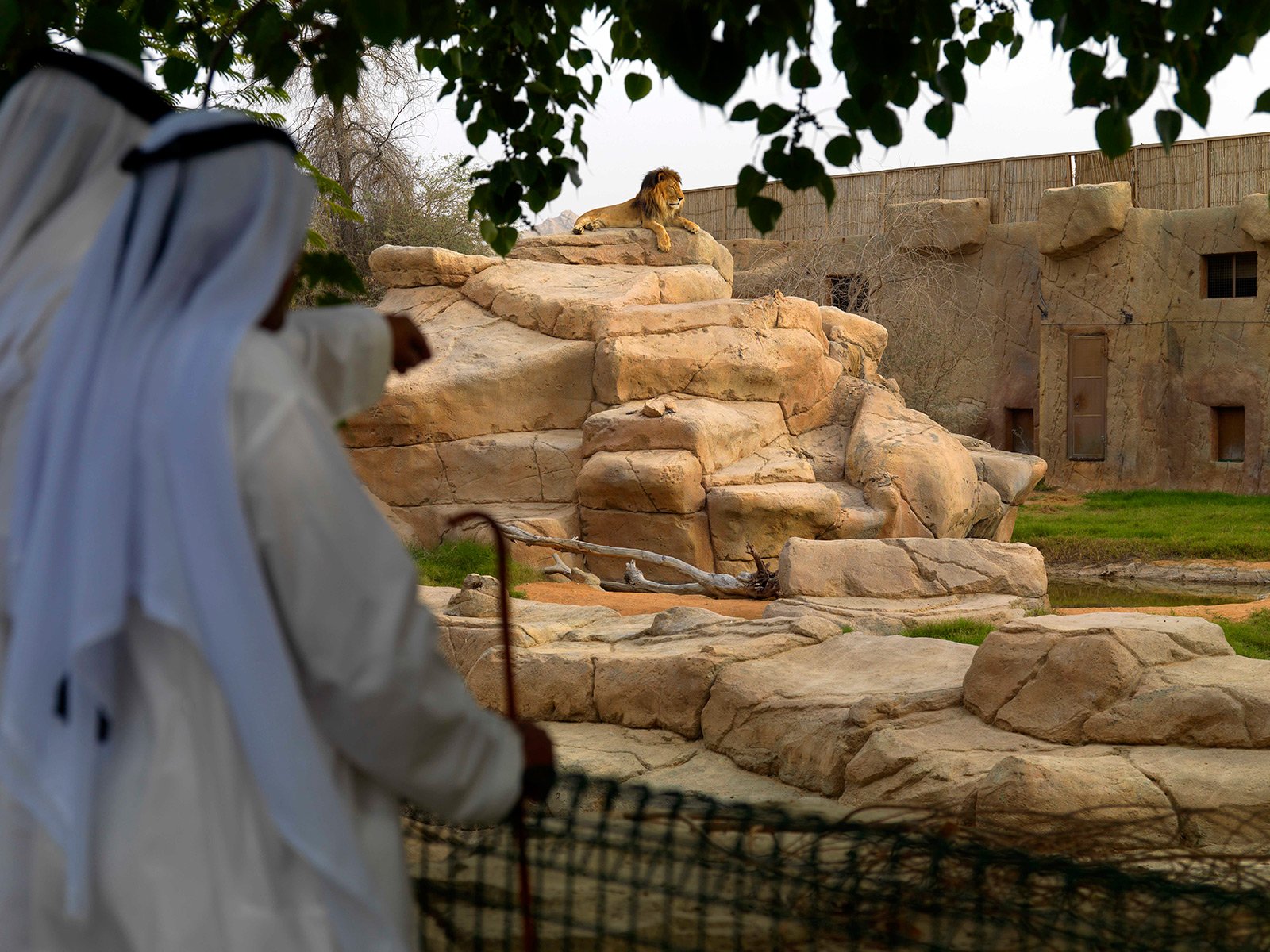 Al Ain Zoo, Al Ain