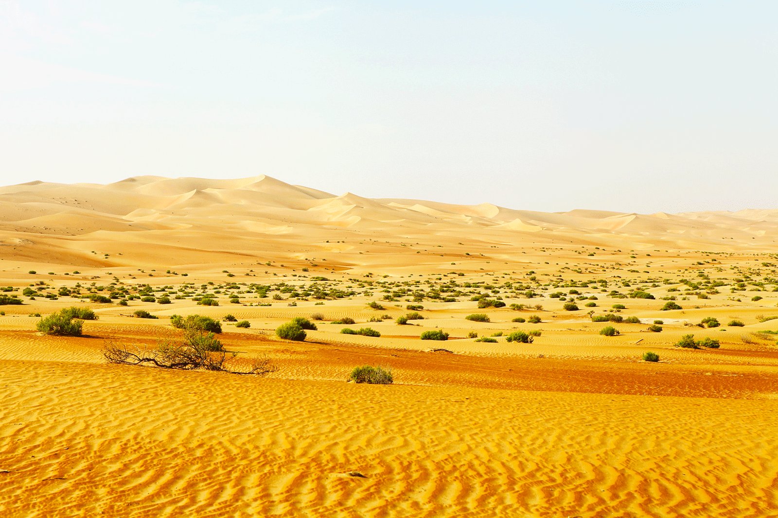 Liwa oasis, Abu Dhabi