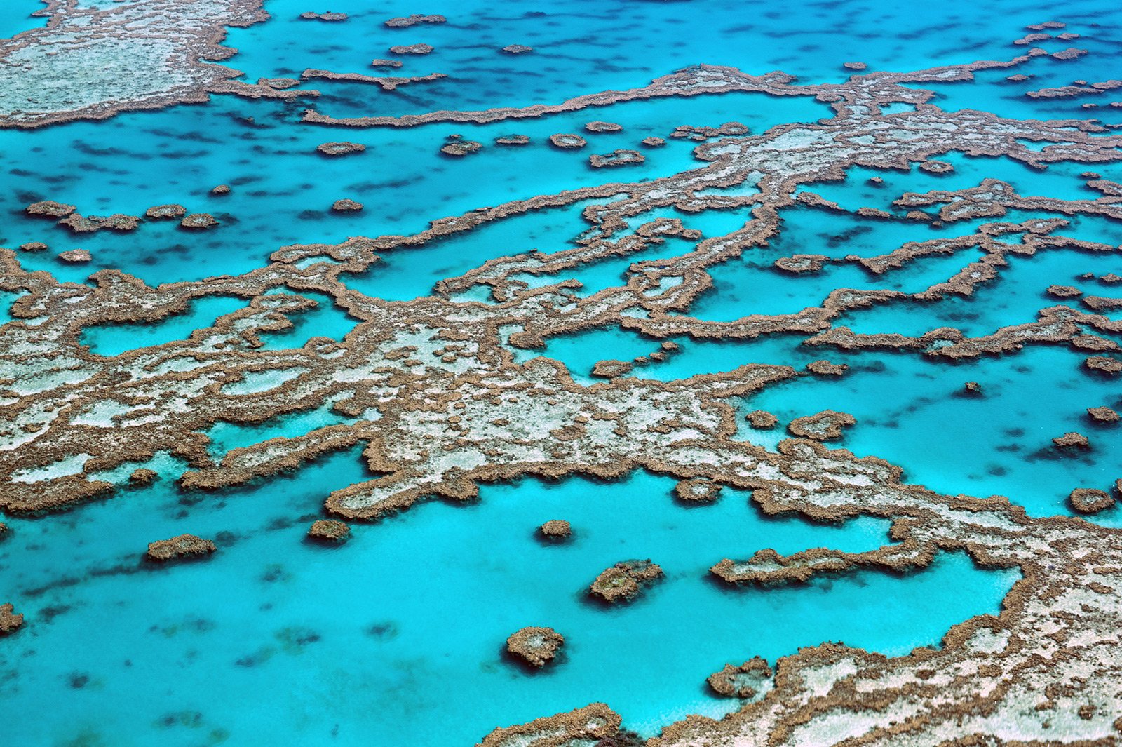 Great Barrier Reef, Cairns