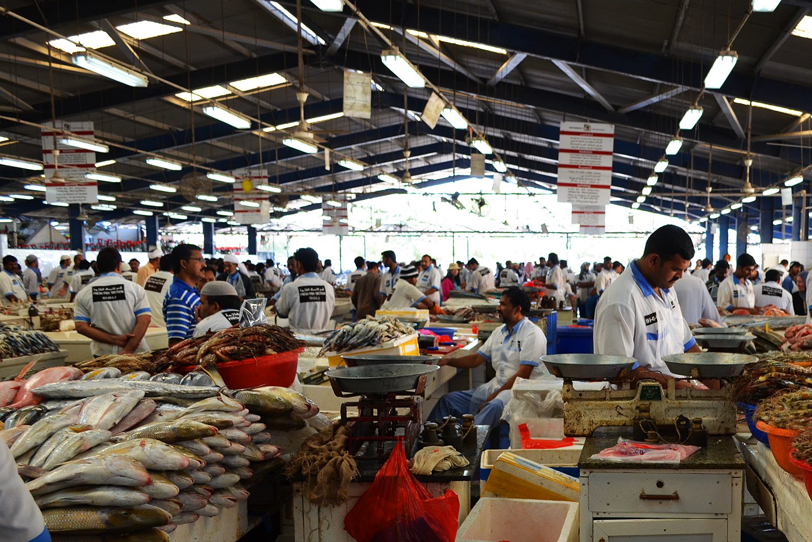 Fish Souk, Dubai