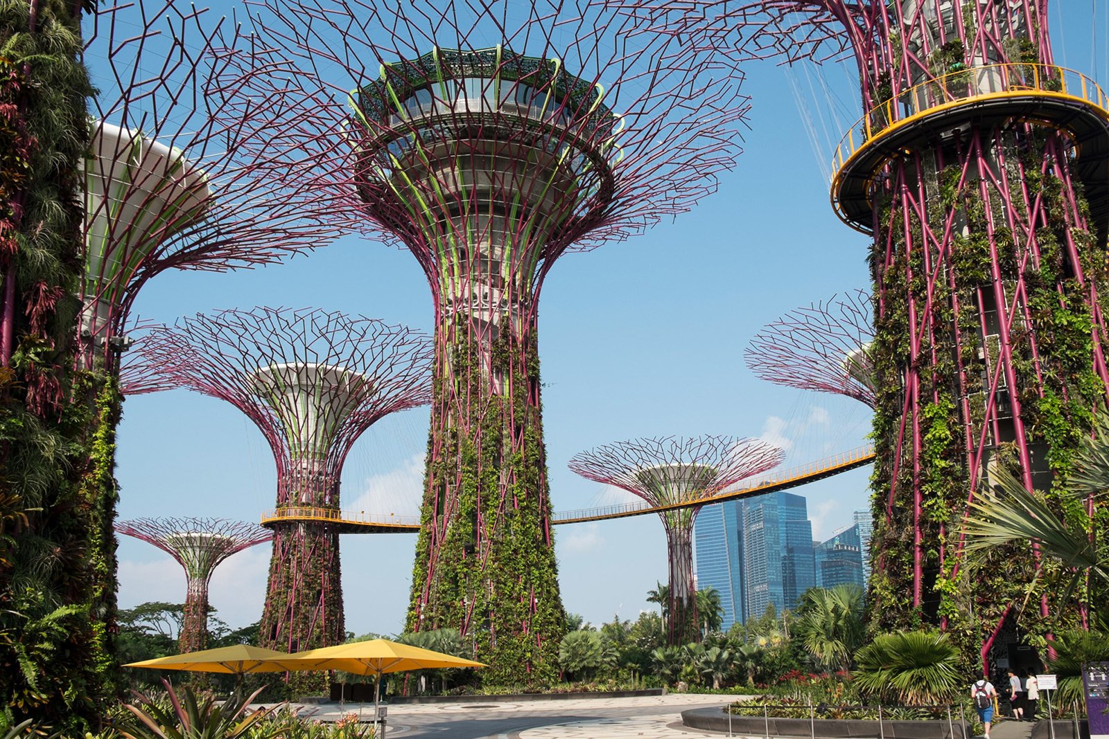 Сады у залива (Gardens by the Bay)