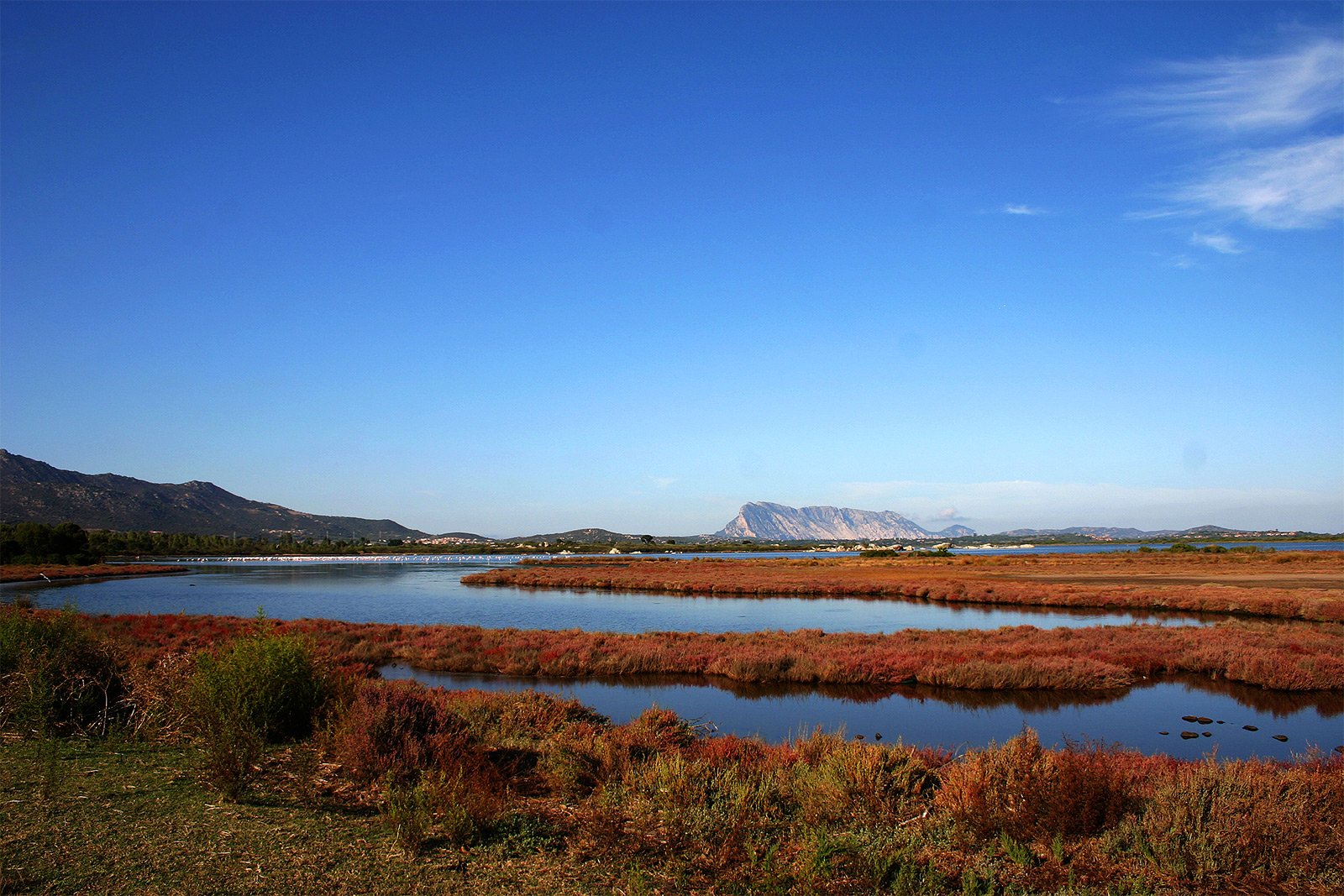 Lagoon of San Teodoro, Sardinia