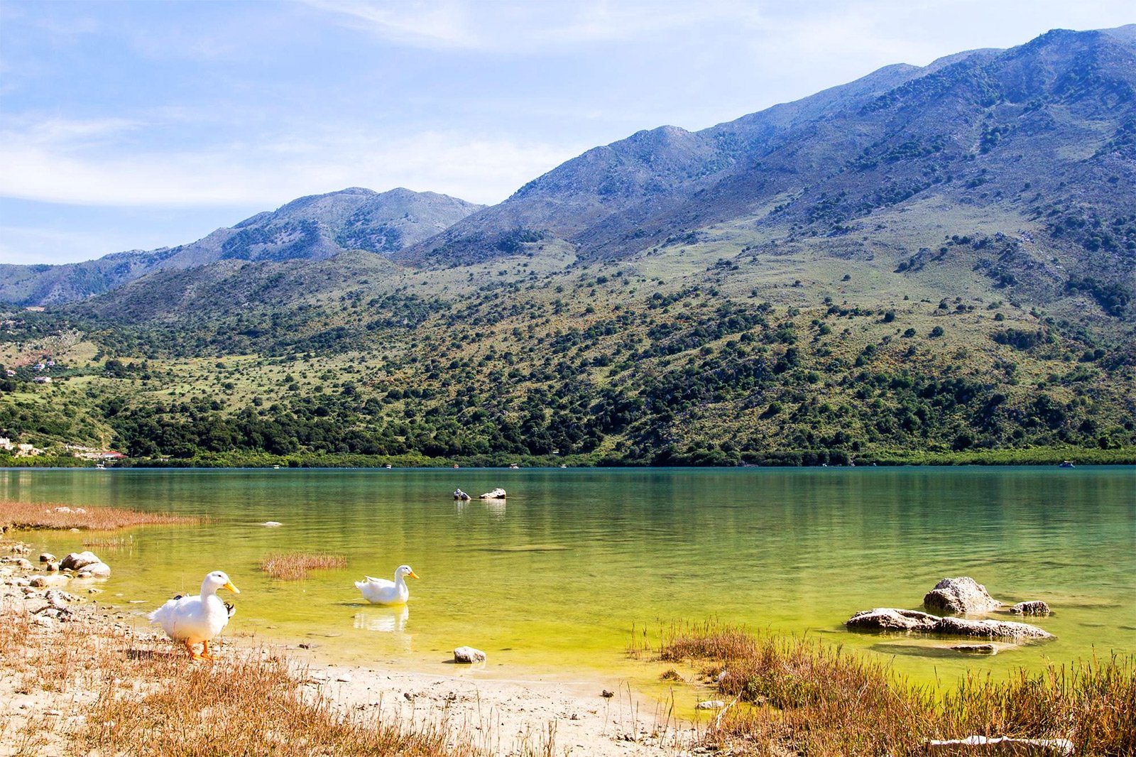 Kournas lake, Crete